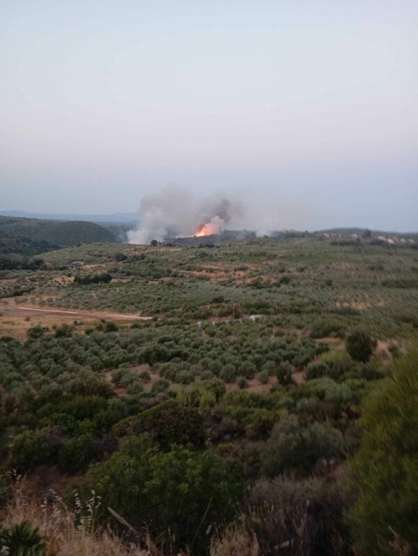 Φωτιά στη Μεταμόρφωση Μεσσηνίας