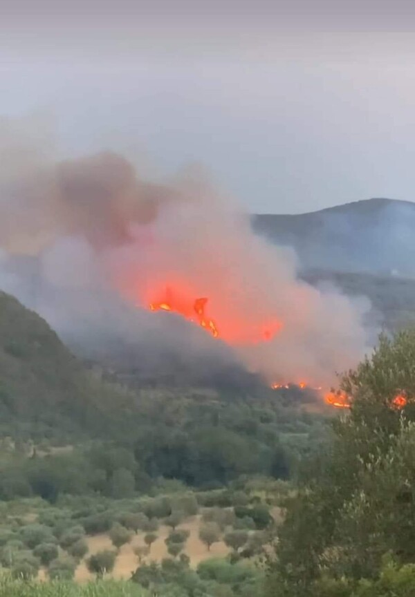 Φωτιά στη Μεταμόρφωση Μεσσηνίας