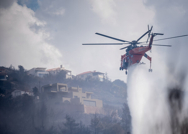 Φωτιά στον Αλμυροπόταμο Εύβοιας– Ήχησε το 112