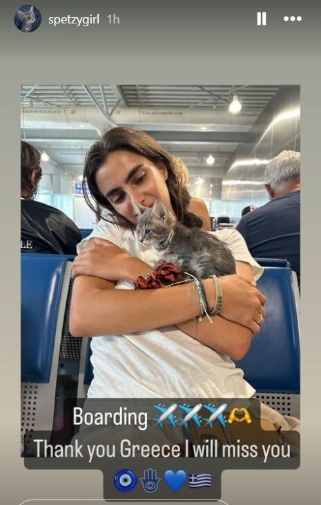 Το γατάκι που έσωσε η τουρίστρια στις Σπέτσες ταξιδεύει για την Αμερική