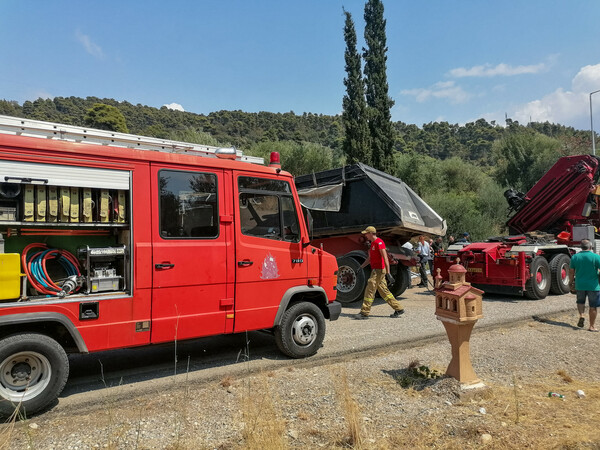 Πολύνεκρο τροχαίο στη Μεσσηνία: Συνελήφθη ο οδηγός της νταλίκας - Σε κρίσιμη κατάσταση ο 19χρονος