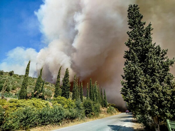 Ανεξέλεγκτη η φωτιά στην Εύβοια: 