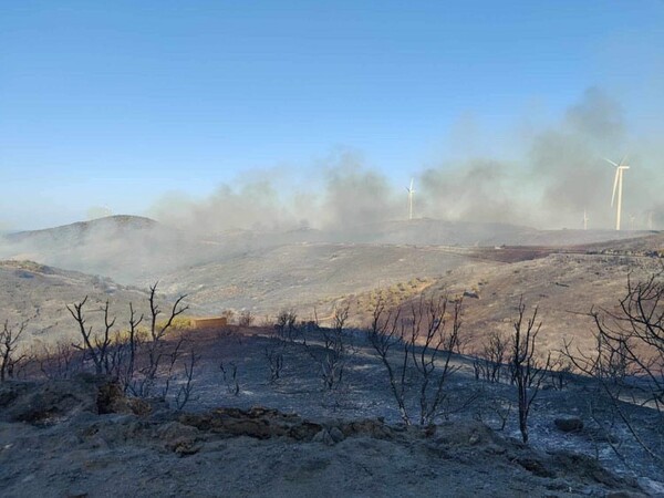 Φωτιά στην Εύβοια: Βίντεο και φωτογραφίες από το ανεξέλεγκτο μέτωπο - Ποιοι δρόμοι είναι κλειστοί