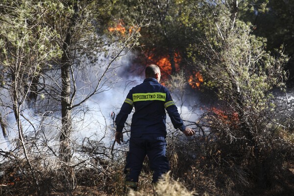 Φωτιά στο Ηράκλειο Κρήτης - Άμεση κινητοποίηση της Πυροσβεστικής