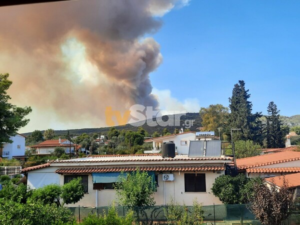 Φωτιά στον Πισσώνα Ευβοίας: Ενισχύθηκαν οι πυροσβεστικές δυνάμεις - Μήνυμα του 112 για απομάκρυνση από το Αφράτι