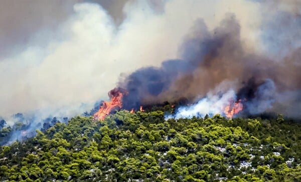 Πυροσβεστική: «Δύσκολη η φωτιά στην Εύβοια» - 45 πυρκαγιές το τελευταίο 24ωρο 