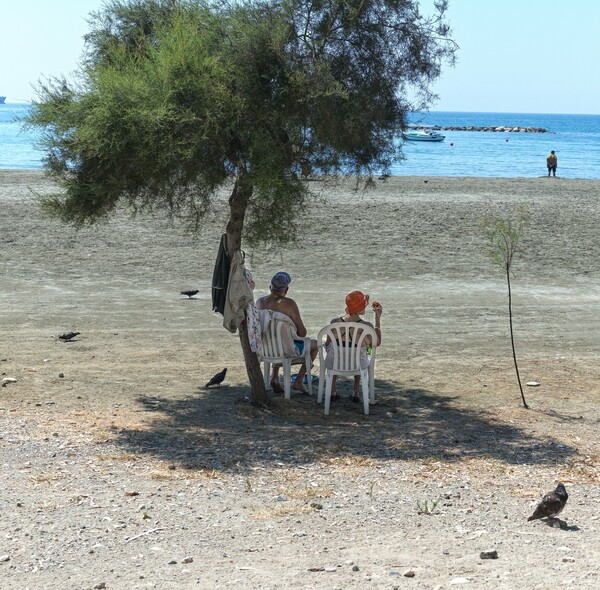 Περιστεράκια