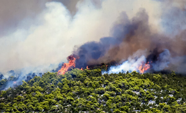 Φωτιές: Η κατάσταση σε όλα τα πύρινα μέτωπα