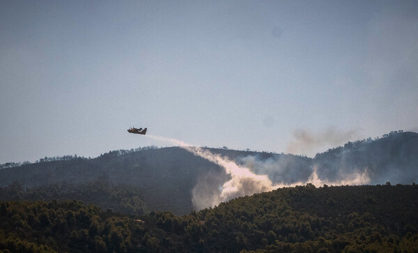 Ρέθυμνο: Τρία τα μέτωπα της φωτιάς - Κοντά σε σπίτια οι φλόγες