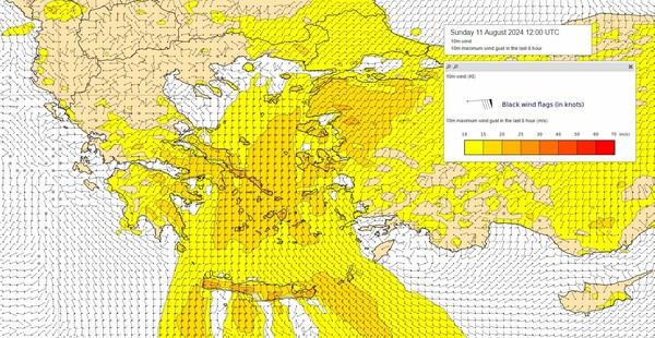 Για υψηλό κίνδυνο πυρκαγιάς προειδοποιεί ο Κολυδάς: «Φρεσκάρει το μελτέμι»