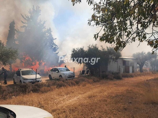 Φωτιά τώρα στην Εύβοια: 112 για την Ερέτρια