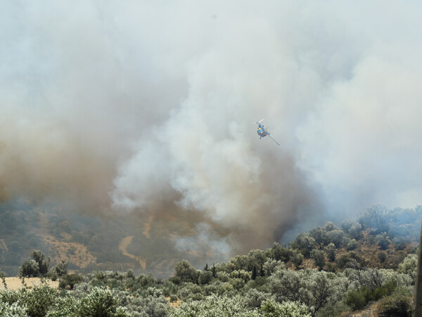 Φωτιές τώρα σε Πέλλα και Θεσπρωτία