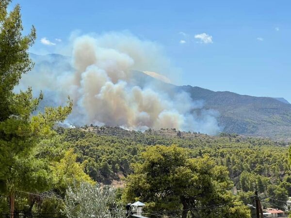 Φωτιά τώρα στα Μέγαρα: Μήνυμα 112 για εκκένωση 