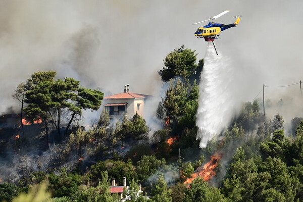 Φωτιά στον Βαρνάβα: Ανεξέλεγκτο το μέτωπο - Πυκνοί καπνοί πάνω από την Αττική