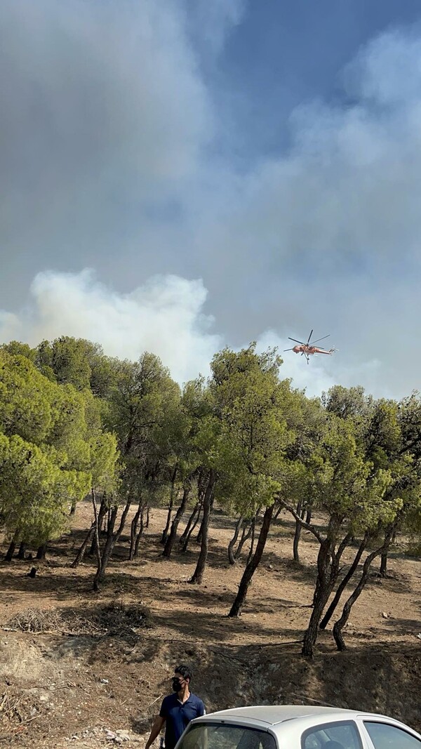 Φωτιά στην Αττική: Στις 4 εμφανίστηκαν 2 Έρικσον στην Νέα Πεντέλη