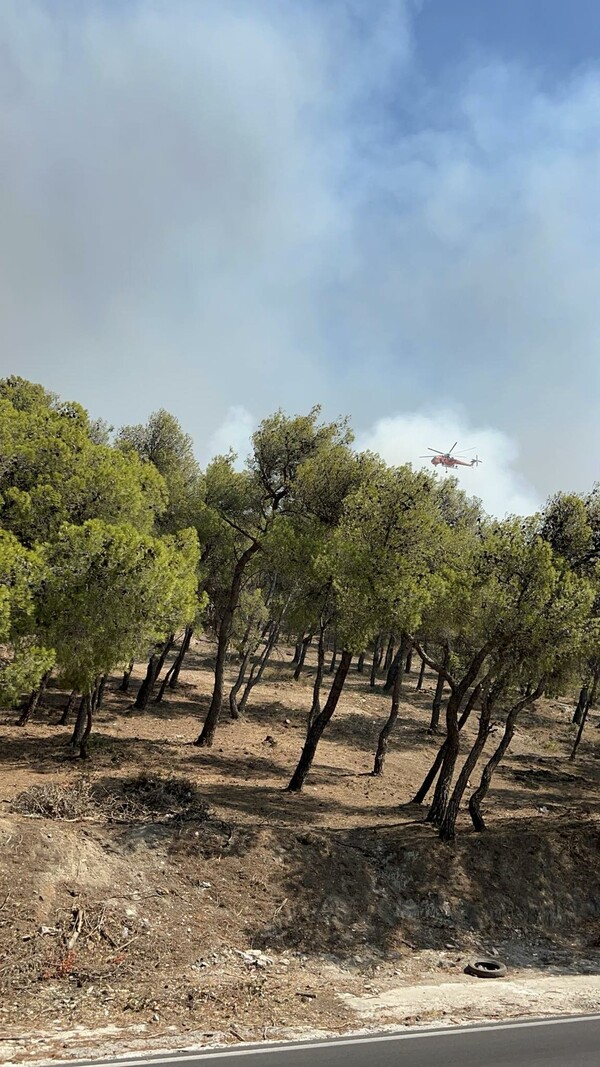 Η Νέα Πεντέλη στις φλόγες 