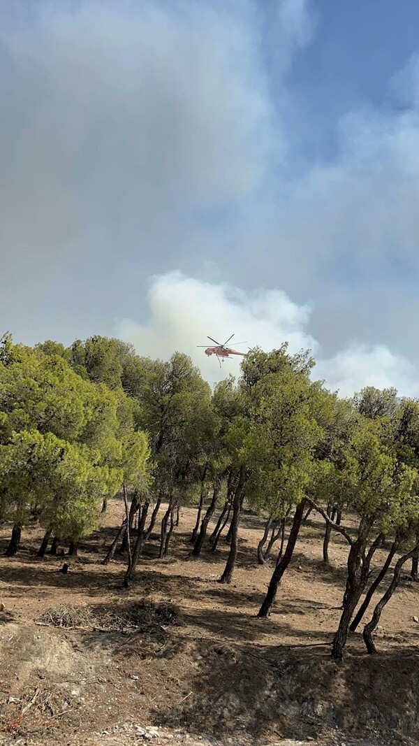 Φωτιά στην Αττική: Στις 4 εμφανίστηκαν 2 Έρικσον στην Νέα Πεντέλη