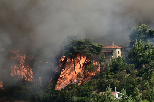 Φωτιά στην Ανατολική Αττική: Μήνυμα 112 για εκκένωση και από Διόνυσο