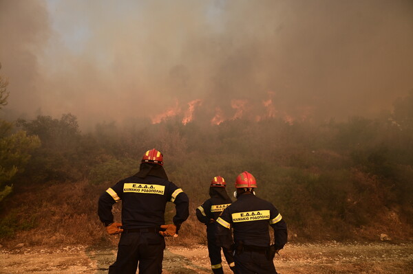 Φωτιά στην Αττική: Έκκληση της ΕΛΑΣ στους πολίτες να ακολουθούν τις οδηγίες εκκένωσης