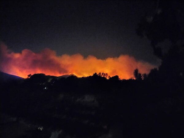 Φωτιά στην Αττική: Στην Πεντέλη το κύριο μέτωπο - Χιλιάδες κάτοικοι φεύγουν από τα σπίτια τους