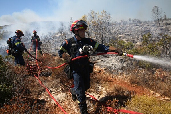 Φωτιά στην Αττική: Μάχη με διάσπαρτες εστίες - Στη Νέα Μάκρη το πιο επικίνδυνο μέτωπο