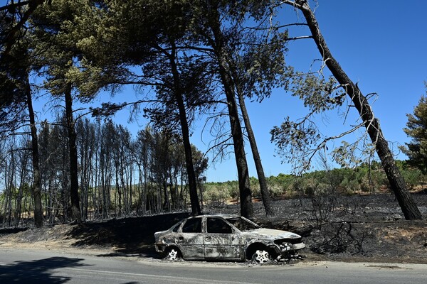 Η φωτιά στην Αττική έκαψε πάνω από 85.000 στρέμματα γης, λέει το Copernicus