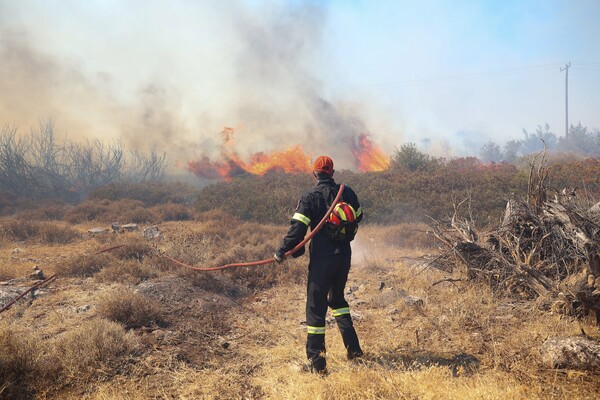 Meteo.gr: Από το μεσημέρι ριπές ανέμων 60-70 χλμ στην Αττική