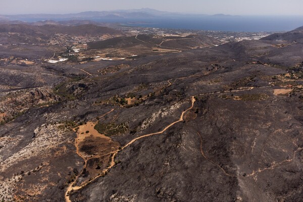 Φωτιά στην Αττική: Από την καμένη έκταση περίπου το 10% ήταν υψηλό δάσος