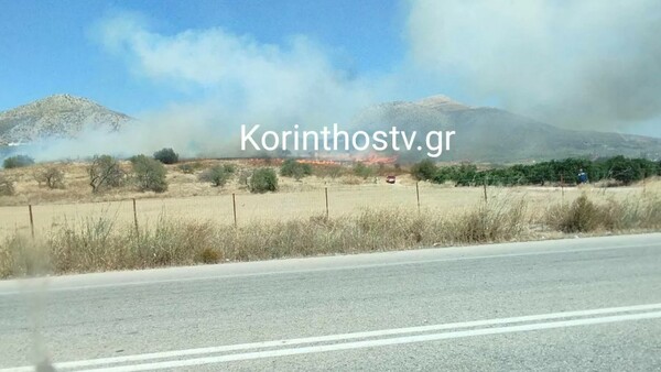 Φωτιά τώρα στο Μοναστηράκι Αργολίδας 