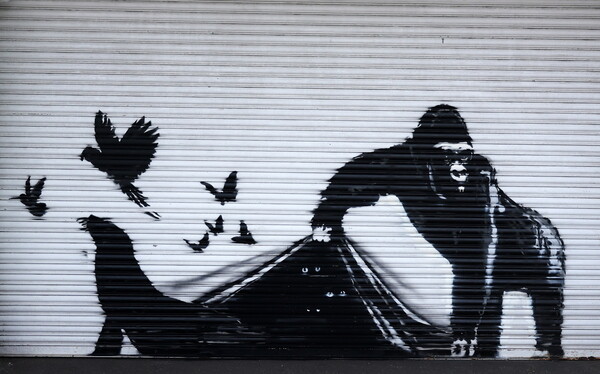 Το τελευταίο έργο του Banksy αφαιρέθηκε από τον ζωολογικό κήπο του Λονδίνου