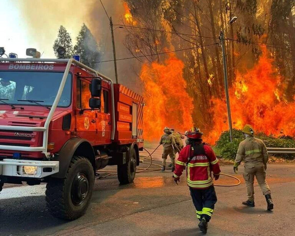 Φωτιά καίει για μια εβδομάδα τη Μαδέρα - 44.000 καμένα στρέμματα