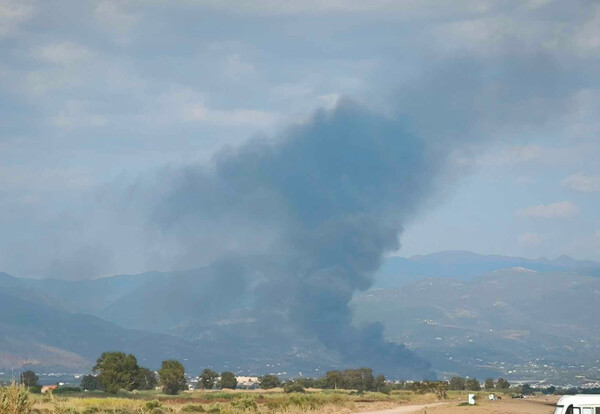 Φωτιά τώρα στην Αγία Τριάδα Μεσσηνίας