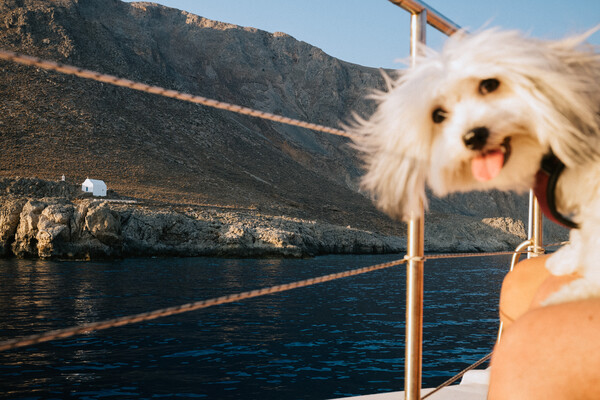 Νότια