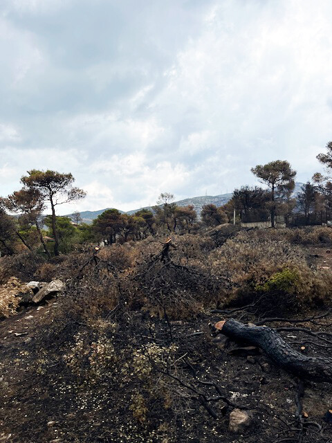 Φωτιά στην Πεντέλη: Το κρατικό επίδομα «πρώτης» αρωγής δεν έχει δοθεί ακόμη