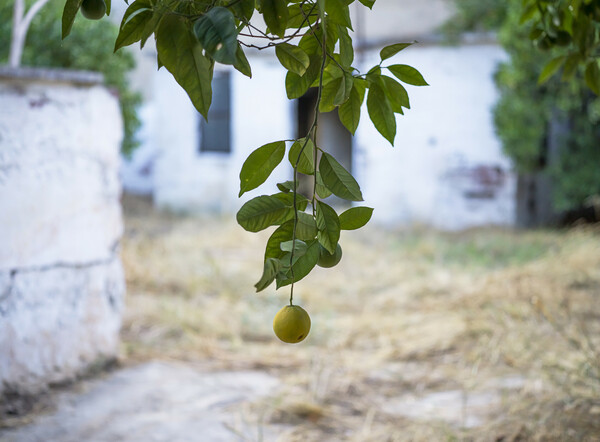 Το σπίτι του ποιητή Νίκου Καρούζου στο Ναύπλιο