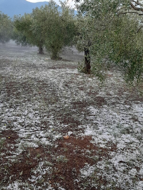 Σφοδρή χαλαζόπτωση στο Βελβεντό Κοζάνης