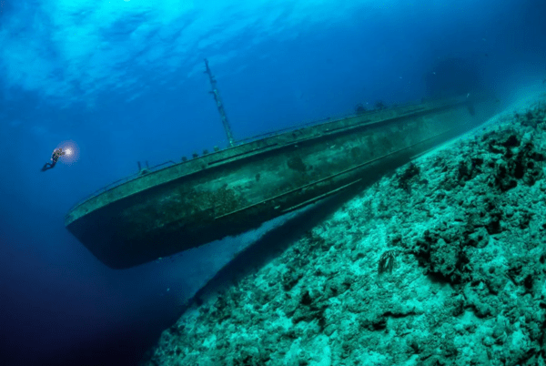 Ocean Photographer of the Year 2024: 