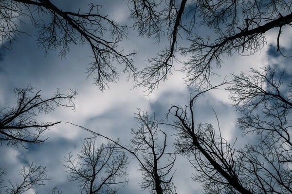 Καιρός - Meteo: H απόλυτη ελάχιστη θερμοκρασία - Πού άγγιξε ο υδράργυρος τους 0,3 βαθμούς Κελσίου σήμερα