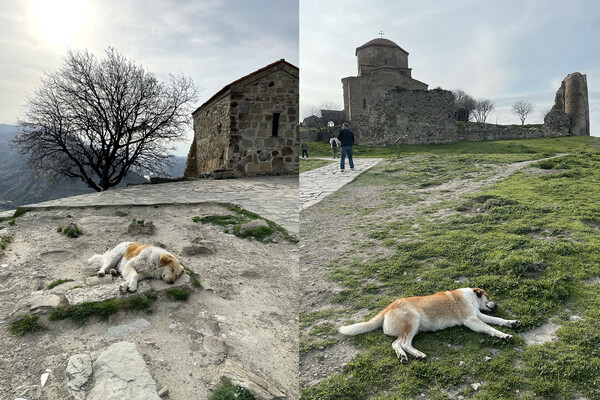 Γραφή, κρασί, κερί