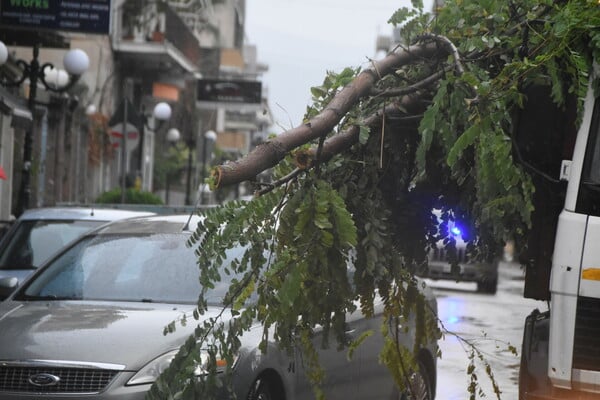 Θεσσαλονίκη: Πτώσεις δέντρων και κλαδιών λόγω των ισχυρών ανέμων στην πόλη