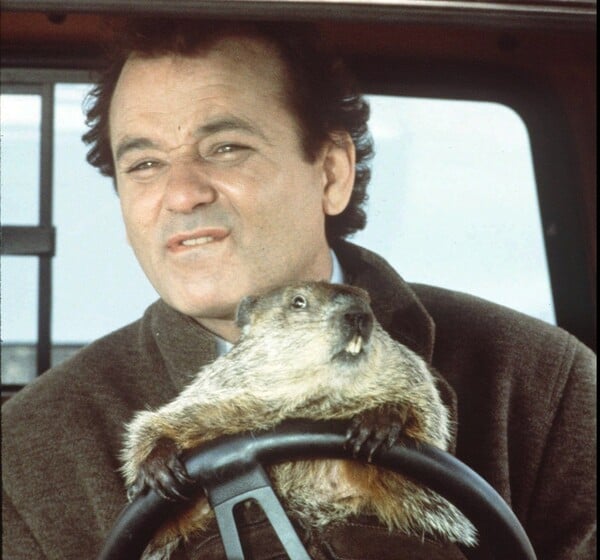 groundhog day