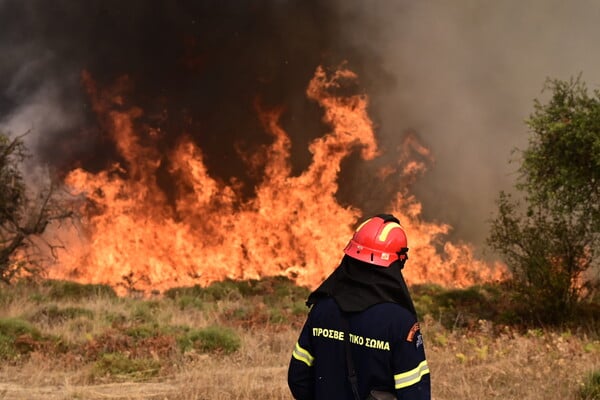 Αντιδήμαρχος για φωτιά στο Ξυλόκαστρο: «Είπα ψέματα γιατί φοβήθηκα»