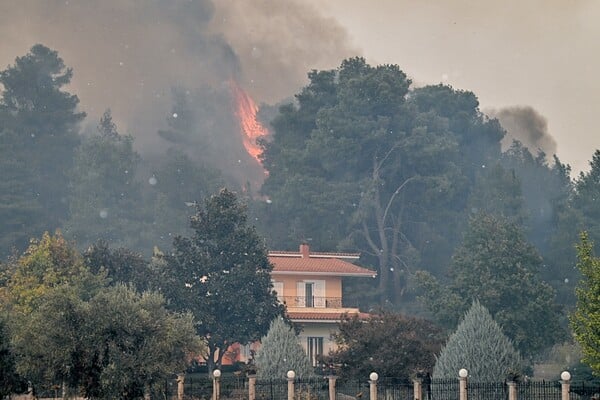 Φωτιά στην Ηλεία: Κάηκαν σπίτια - Τρία ενεργά μέτωπα σε Γεράκι, Πανόπουλο και Μανωλάδα 