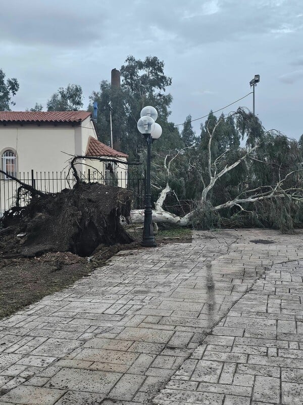 Κακοκαιρία «Κασσάνδρα»: Μεγάλες καταστροφές στον Ασπρόπυργο - Άνεμοι έως 10 μποφόρ