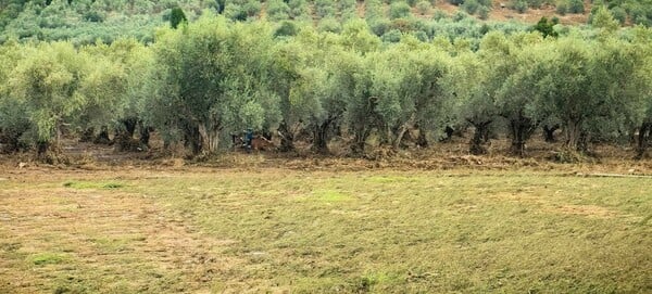 Κακοκαιρία «Κασσάνδρα»: Νεκρός εντοπίστηκε ο φύλακας που αγνοούταν στο Αγρίνιο