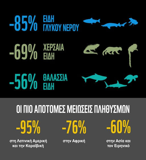 Δραματική μείωση 73% των πληθυσμών άγριας ζωής σε μόλις 50 χρόνια