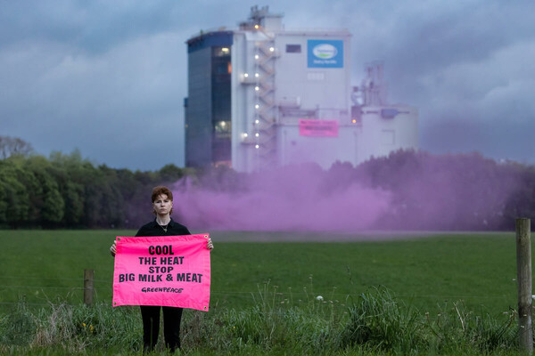 Greenpeace: Η βιομηχανία κρέατος και γαλακτοκομικών συνεισφέρει στην υπερθέρμανση του πλανήτη περισσότερο από τις εταιρείες ορυκτών πόρων