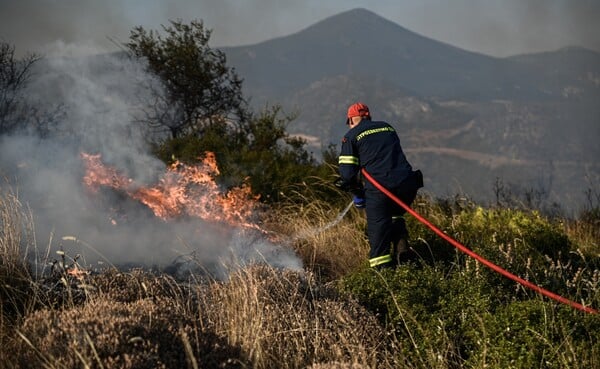 Φωτιά στις Καρίνες Ρεθύμνου