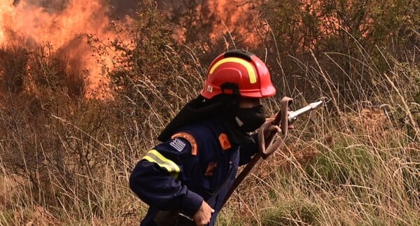 Φωτιά τώρα στο Σούλι Αχαΐας, σε δύσβατη δασική περιοχή