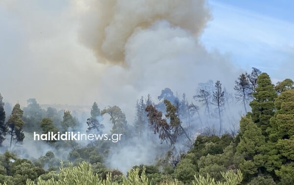 Φωτιά στη Χαλκιδική: Μήνυμα 112 για τον οικισμό Τυπάδες Μαρμαρά 